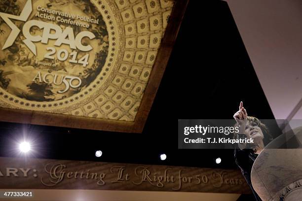 Conservative pundit, television personality and former vice presidential candidate Sarah Palin speaks during the 41st annual Conservative Political...