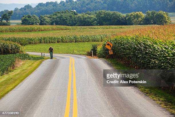 ernten zeit.  herren, pennsylvania dutch amish country, lancaster county - lancaster stock-fotos und bilder