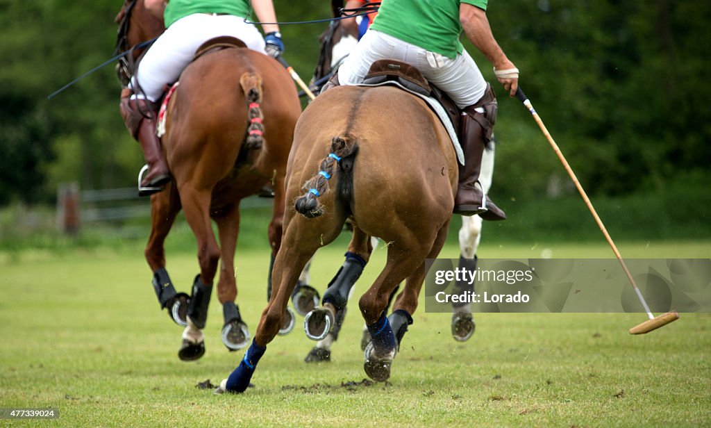 Polo players challenging for the ball