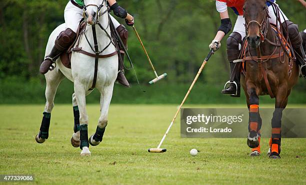 polo jugadores desafiante para la pelota - polo horse fotografías e imágenes de stock