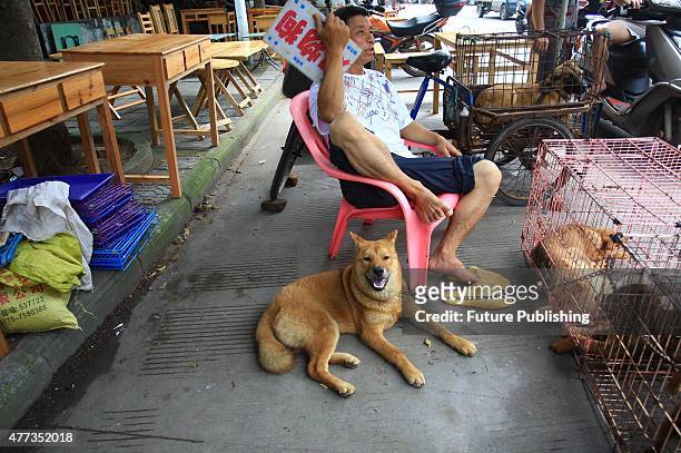 Vendor selling dogs at the market on June 20, 2014 in Yulin, China. An annual Chinese dog meat festival kicked off earlier than usual this year in an...