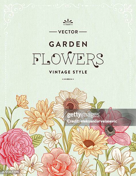 bildbanksillustrationer, clip art samt tecknat material och ikoner med vintage floral frame - flower vector