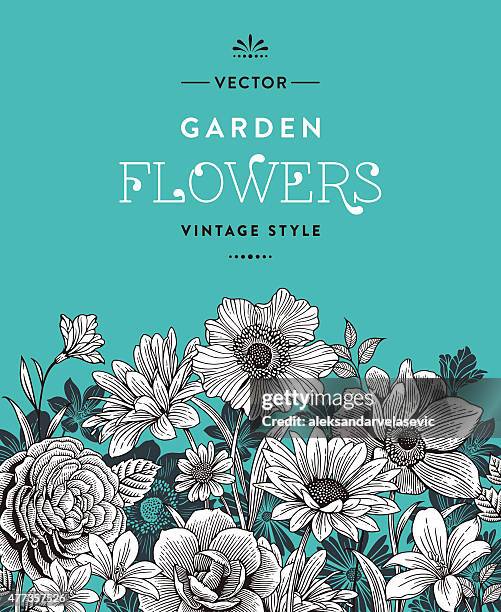 ilustrações, clipart, desenhos animados e ícones de vintage flores - canteiro de flores