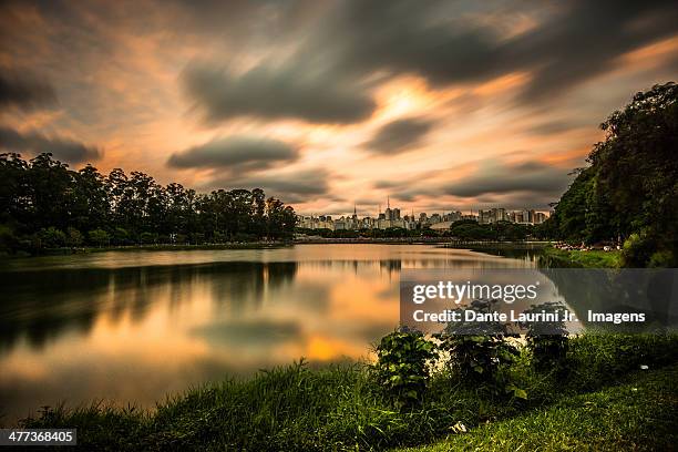 ibirapuera - ibirapuera bildbanksfoton och bilder