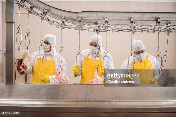 workers working at a chicken factory - meat factory stock pictures, royalty-free photos & images