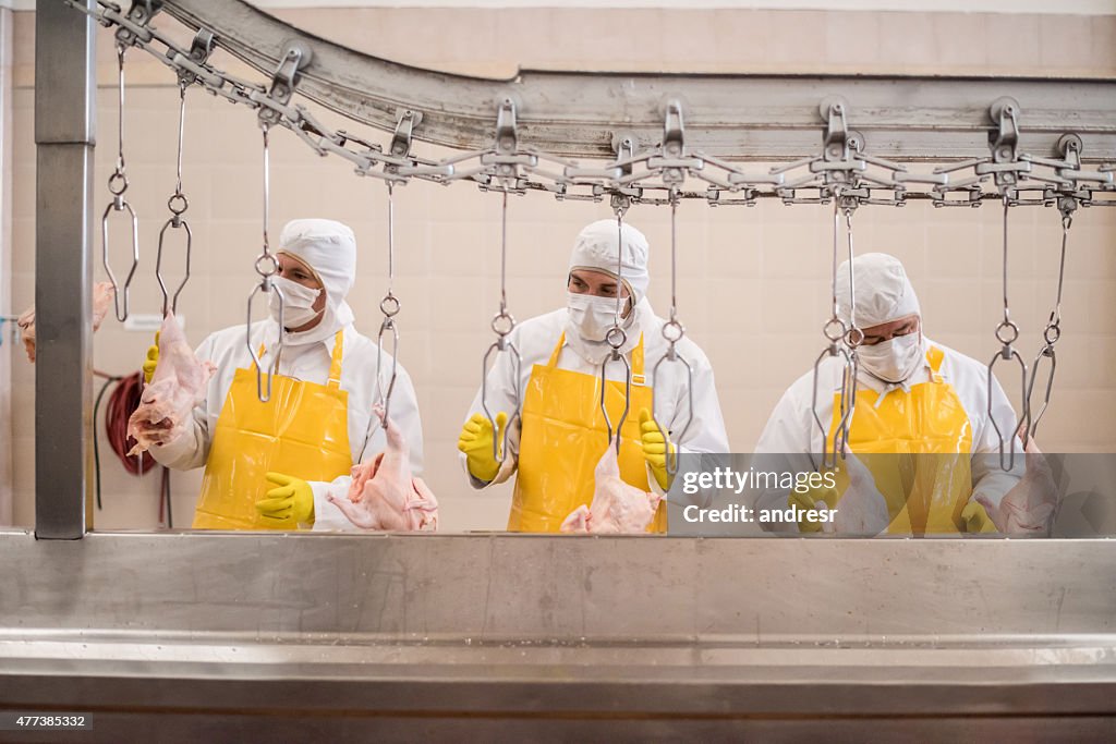 Trabalhadores trabalhando em uma fábrica de frangos