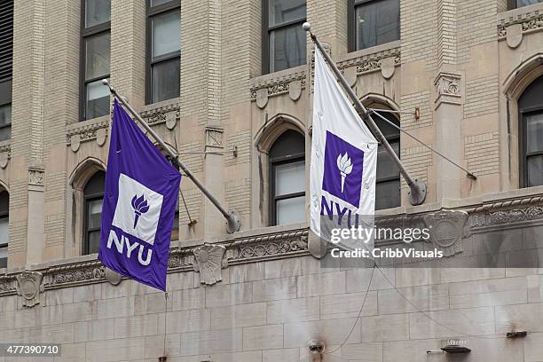 new york university flaggen und logos - new york university stock-fotos und bilder