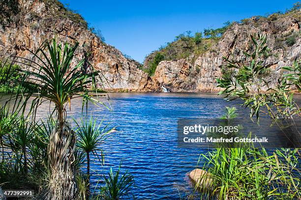 edith falls nitmiluk national park - edith falls stock pictures, royalty-free photos & images