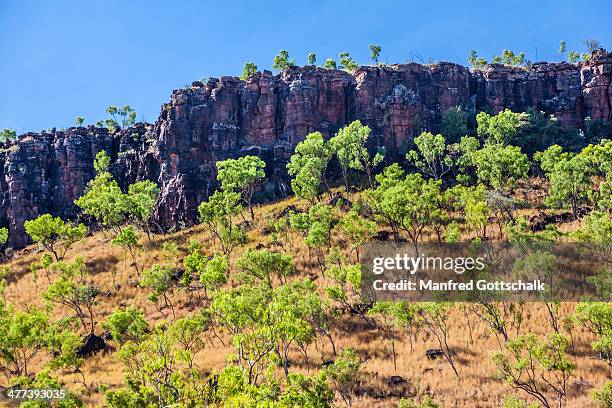 bushland with sandstone cliffs - escarpment stock pictures, royalty-free photos & images