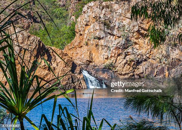 edith falls nitmiluk national park - edith falls stock pictures, royalty-free photos & images