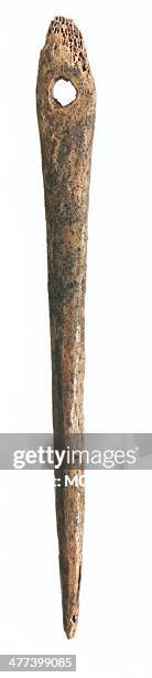Bone needle made from a long-bone with cancellous tissue visible in the head, the short length of the shaft may indicate that it had been reworked...