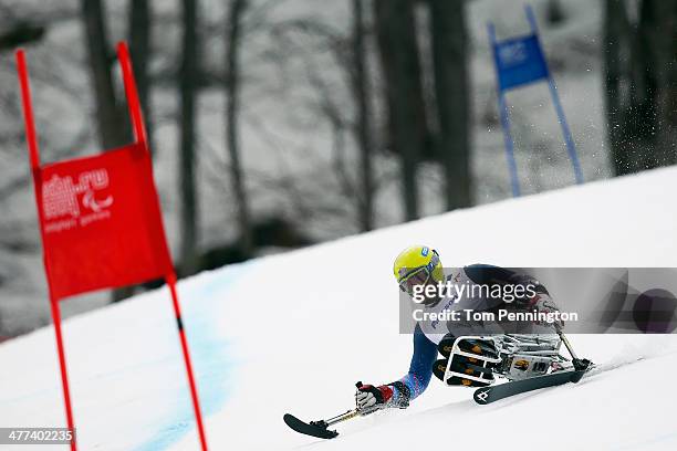 Jasmin Bambur of USA competes in the Men's Super G - sitting during day two of Sochi 2014 Paralympic Winter Games at Rosa Khutor Alpine Center on...