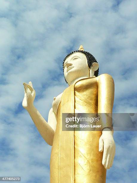 gold-covered statue - lauer stock pictures, royalty-free photos & images