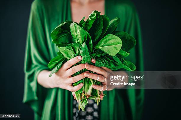 young woman holding spinach leafs salad - leaf vegetable stock pictures, royalty-free photos & images