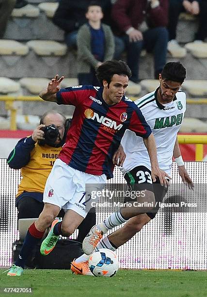 Robert Acquafresca of Bologna FC competes the ball with Pedro Mendes of US Sassuolo Calcio during the Serie A match between Bologna FC and US...