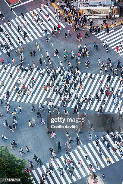 渋谷スクランブル交差点空から見た - スクランブル交差点 ストックフォトと画像