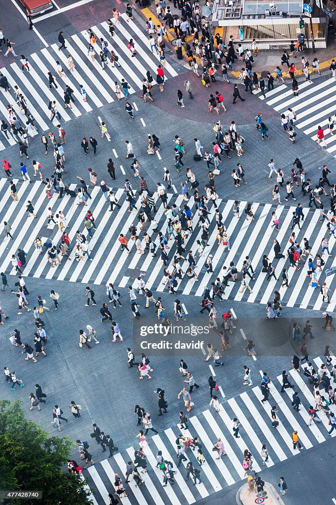 Shibuya Crossing Aerial