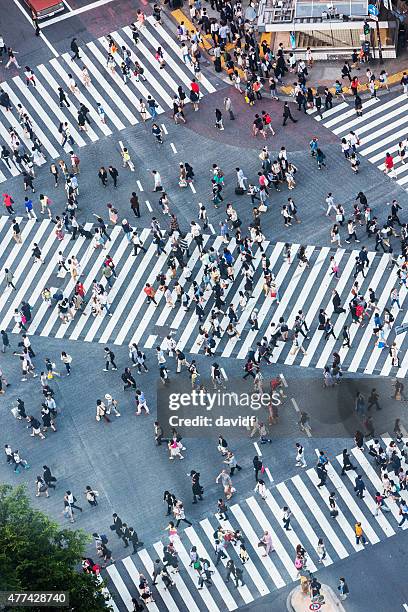 shibuya crossing aerial - 新宿区 個照片及圖片檔