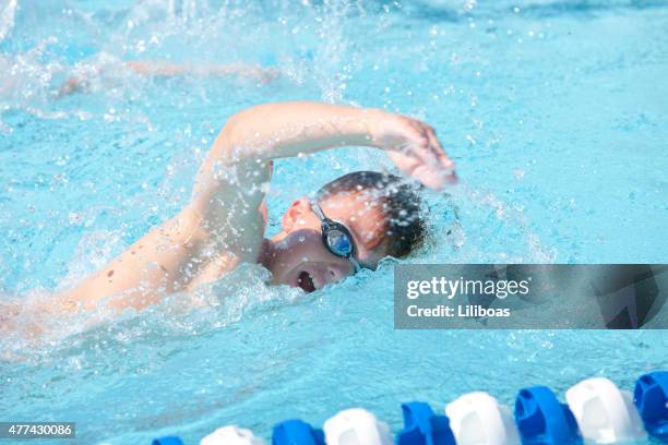 young boy swimming freestyle swim stroke - swimming free style pool stock pictures, royalty-free photos & images