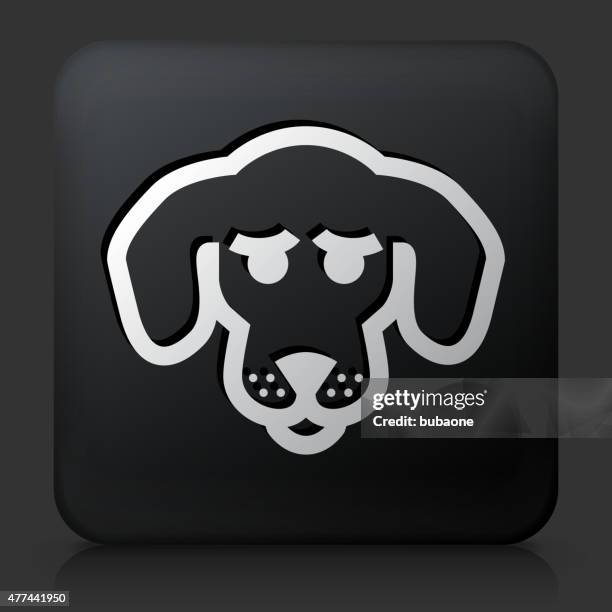 black square button with beagle - beagle stock illustrations