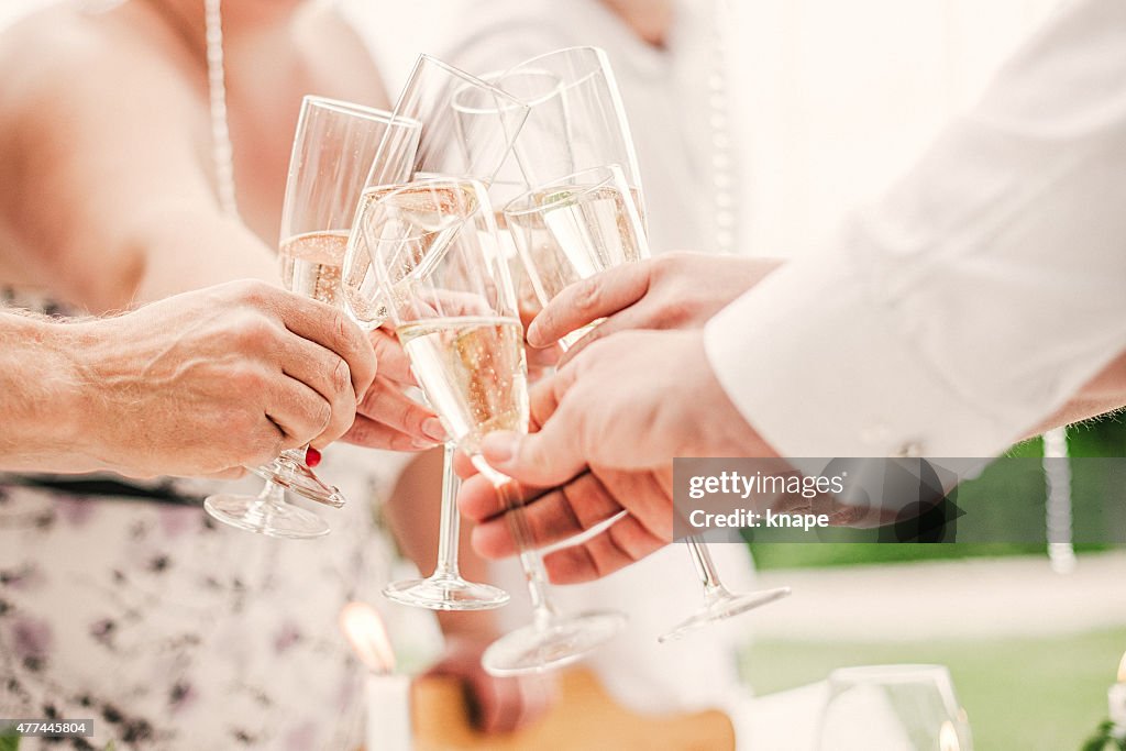 Friends toasting at a summer party