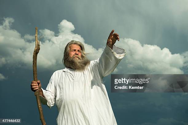 long-haired prophet pointing in front of dramatic sky - profet bildbanksfoton och bilder