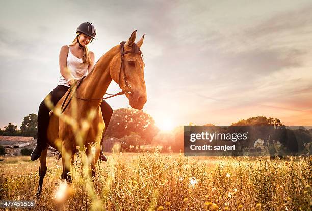 junge frau auf einem pferd in der natur - horse sports stock-fotos und bilder