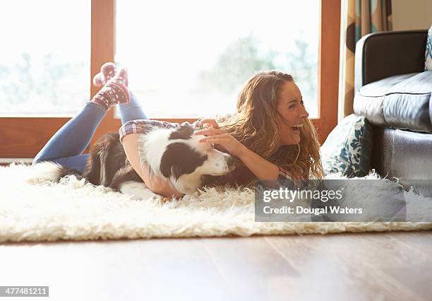 woman playing with dog at home. - teppich stock-fotos und bilder