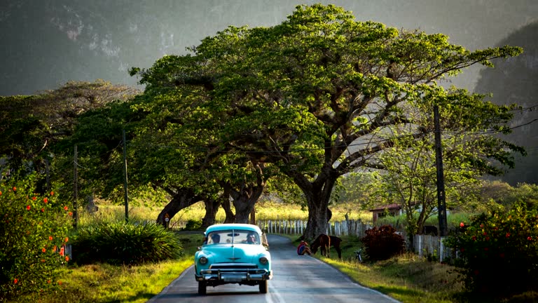 imagen en miniatura de vídeo