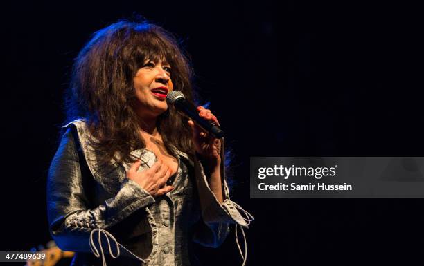 Ronnie Spector performs live on stage during WOW - Women of the World Festival at the Queen Elizabeth Hall, Southbank Centre on March 9, 2014 in...