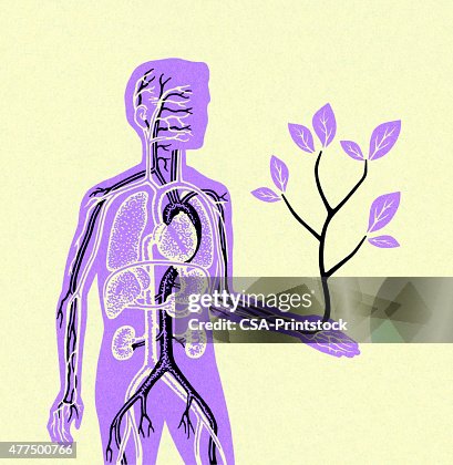 Man Holding Small Tree Man Holding Small Tree