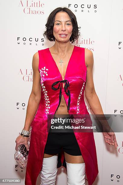 Lisa Falcone attends the "A Little Chaos" New York premiere at Museum of Modern Art on June 17, 2015 in New York City.