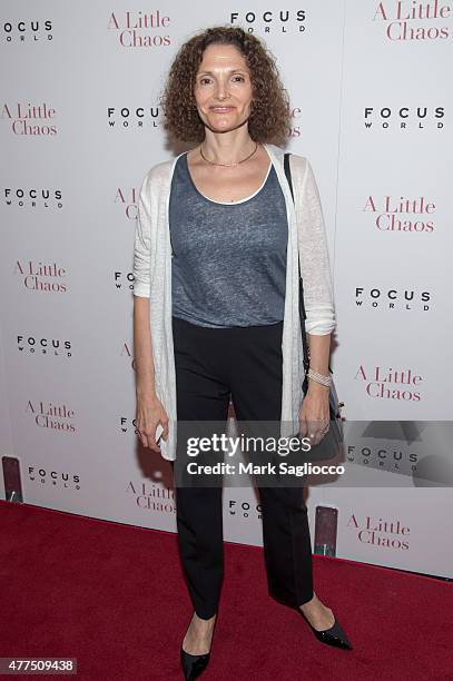 Mary Elizabeth Mastrantonio attends "A Little Chaos" New York Premiere at the Museum of Modern Art on June 17, 2015 in New York City.