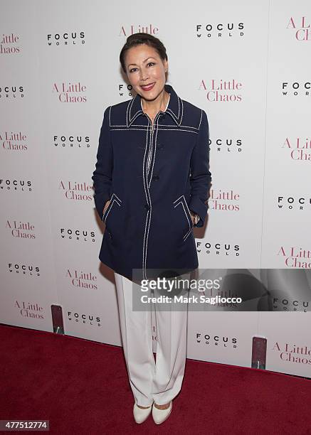Television Personality Ann Curry attends "A Little Chaos" New York Premiere at the Museum of Modern Art on June 17, 2015 in New York City.