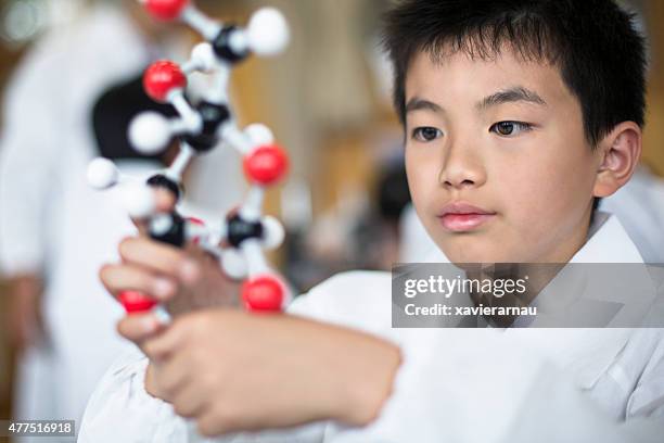 japanese student holding a molecular model - school science project stock pictures, royalty-free photos & images