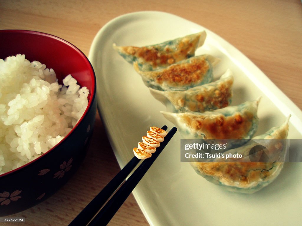 Japanese Gyoza and Its Miniature