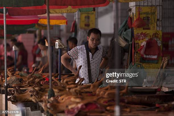 This picture taken on June 17, 2015 shows dog meat on sale at a market in Yulin, in southern China's Guangxi province. People from Yulin...