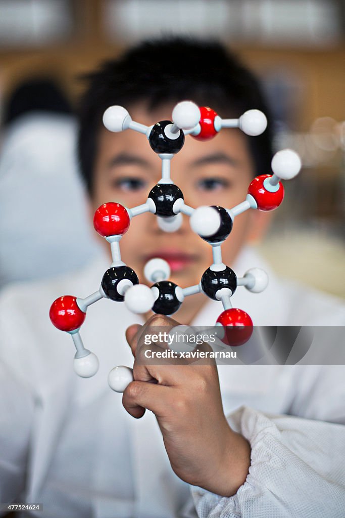 Japanische student hält ein Molekular-Modell