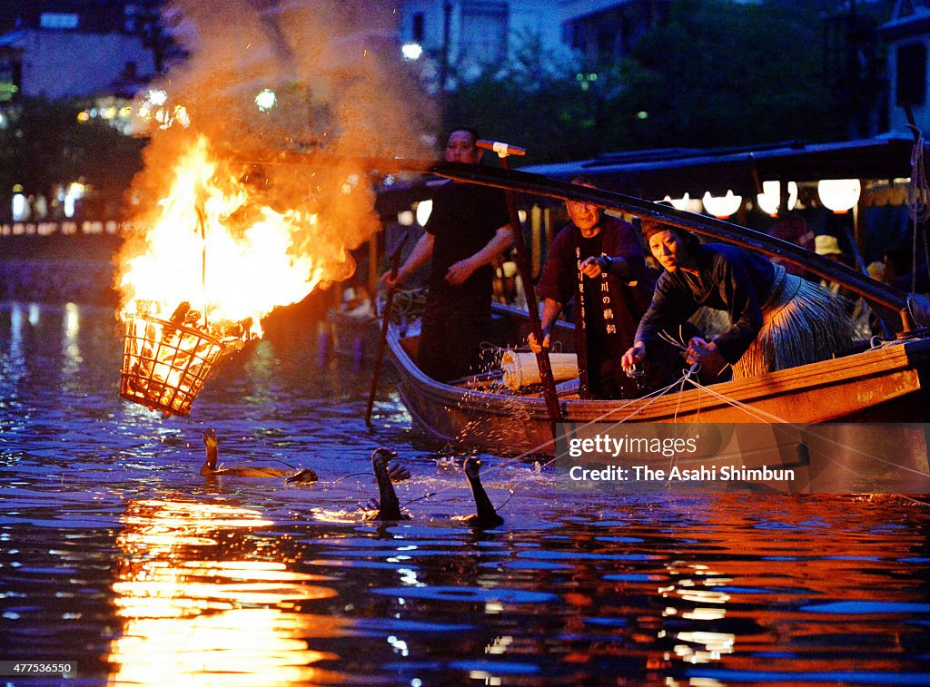 Cormorant Fishing Season Begins At Ujigawa River