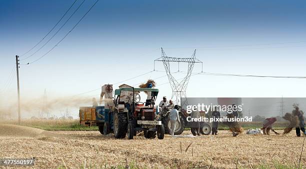 process of wheat harvesting - wheat flour stock pictures, royalty-free photos & images