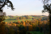 Autumn colours in the Surrey Hills. England