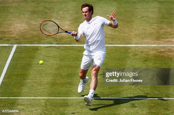 Andy Murray of Great Britain volleys in his men's singles second round match against Fernando Verdasco of Spain during day four of the Aegon...