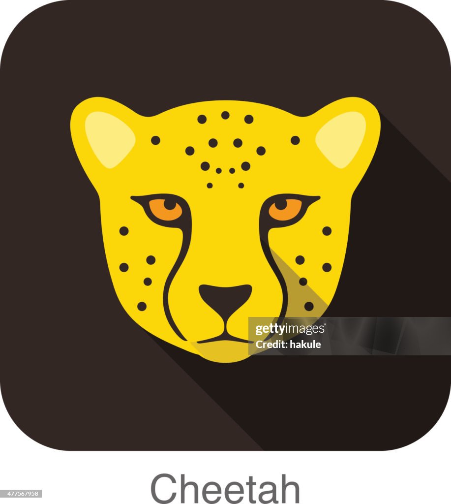 Cheetah Cat Breed Face Cartoon Flat Icon Design High-Res Vector Graphic -  Getty Images