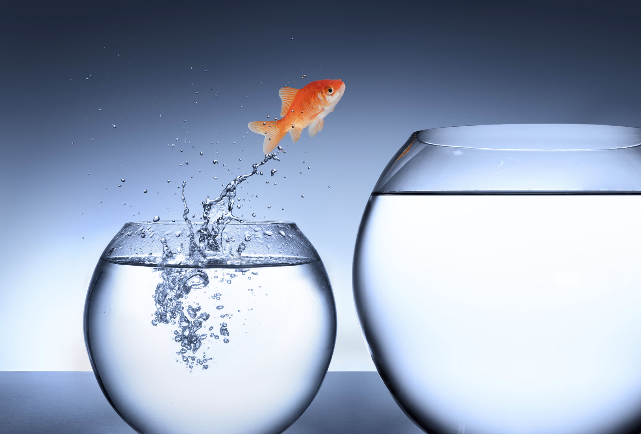 challenges opportunities