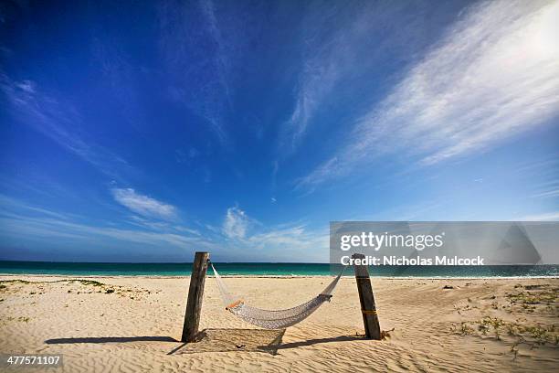 Bahamas hammock, beach, sand, sunshine, shadow, clouds, emerald water, emerald ocean, green water, tropics, shore, shore line, peace, tranquility,...