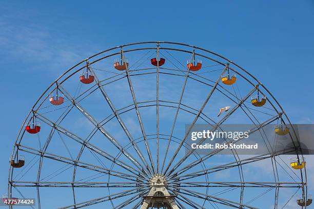 Seagull flies in front of The Big Wheel of Colour at Dreamland amusement park on June 18, 2015 in Margate, England. Dreamland is considered to be the...