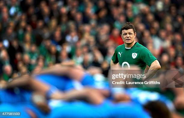 Brian O'Driscoll of Ireland watches the scrum during the RBS Six Nations match between Ireland and Italy at Aviva Stadium on March 8, 2014 in Dublin,...