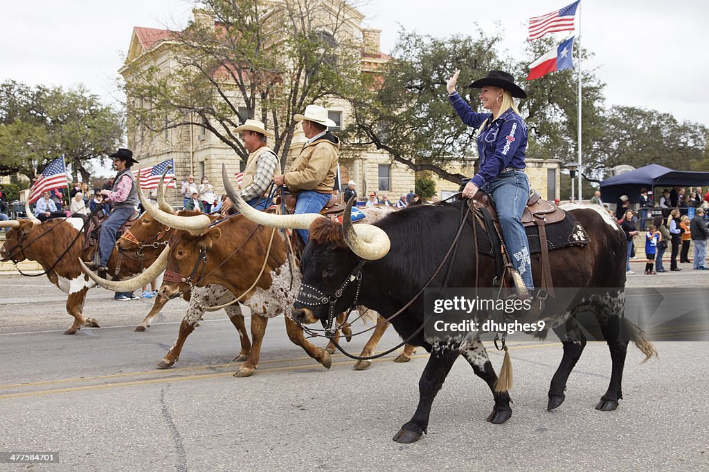 Cowgirl, Cowboys Riding Longhorn Bulls, Bandera Texas Veterans Day Parade