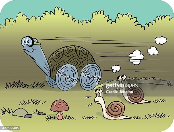 racing turtle - escargot stock illustrations