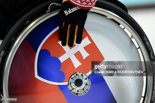 Slovakia's Dusan Pitonak reacts during the match between Great Britain and Slovakia in Wheelchair Curling at XI Paralympic Olympic games in the Ice...